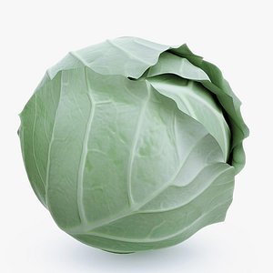 3dsmax cabbage