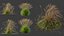 AV Molinia Caerulea Heidebraut Kleines Pfeifengras Травы