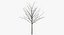 winter trees 3 model