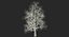 winter trees 3 model