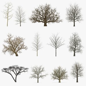 winter trees 3 model