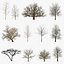 winter trees 3 model