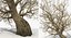 winter trees 3 model