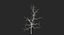 winter trees 3 model