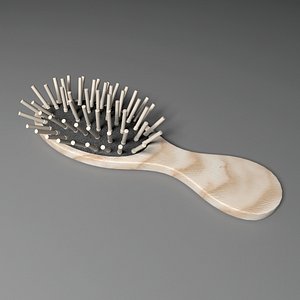 Hair brush