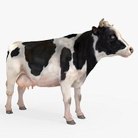 Farm Milk Cow Fur For Blender