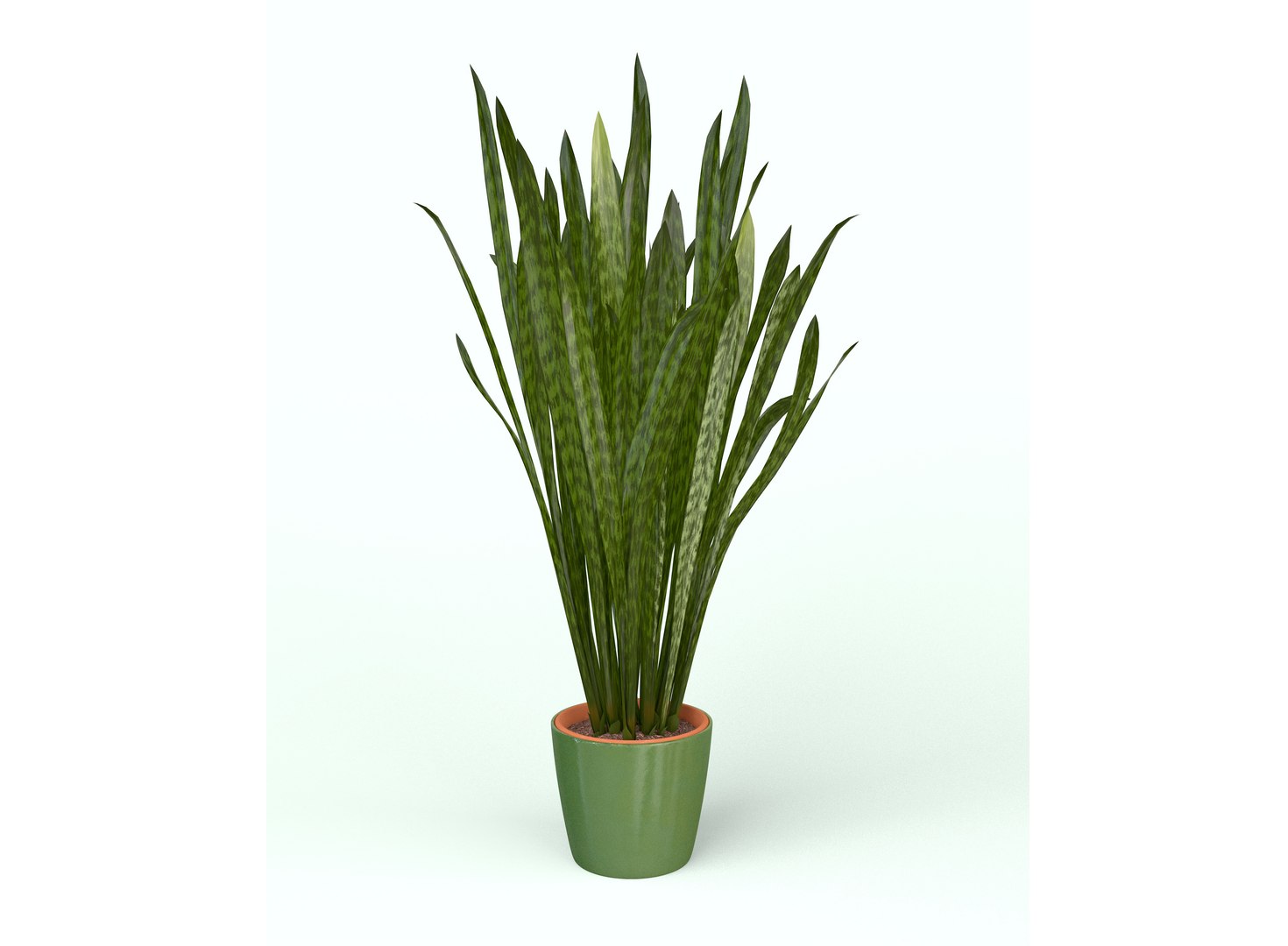 3D model Snake Plant https://p.turbosquid.com/ts-thumb/3E/1cPY7i/k8/snakeplant06/jpg/1719345354/1920x1080/fit_q87/18d8caf19f176d5f7d63f5c16ef2a19b8c47bbad/snakeplant06.jpg