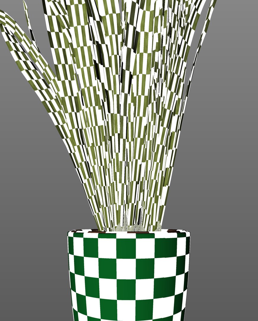 3D model Snake Plant https://p.turbosquid.com/ts-thumb/3E/1cPY7i/kh/uv/jpg/1719345356/1920x1080/fit_q87/2538ceb28df857de357f058b8570aa6362040728/uv.jpg
