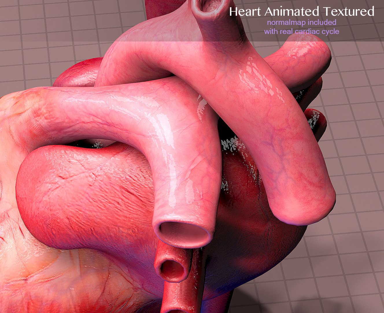 3d heart cycle animation https://p.turbosquid.com/ts-thumb/3E/42tl4y/6tKp4TBD/006/jpg/1498321522/1920x1080/fit_q87/e7c64392b37ba3e4a559aaa6ac2289e0d9b4569b/006.jpg