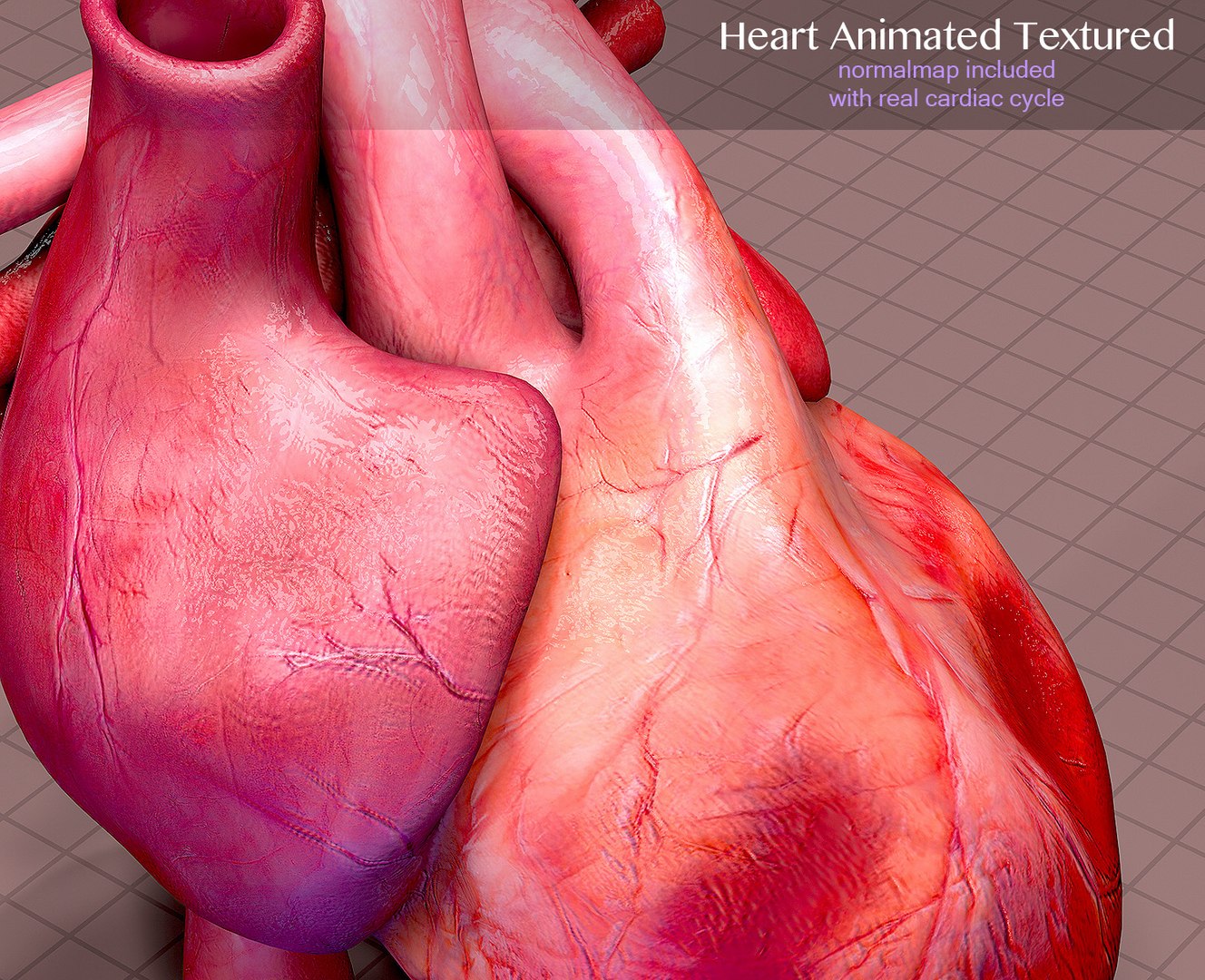 3d heart cycle animation https://p.turbosquid.com/ts-thumb/3E/42tl4y/OqKdS4N6/007/jpg/1498321522/1920x1080/fit_q87/ad4d3530ff6db2fcf1e6e711f3febfc01f0f9c5a/007.jpg