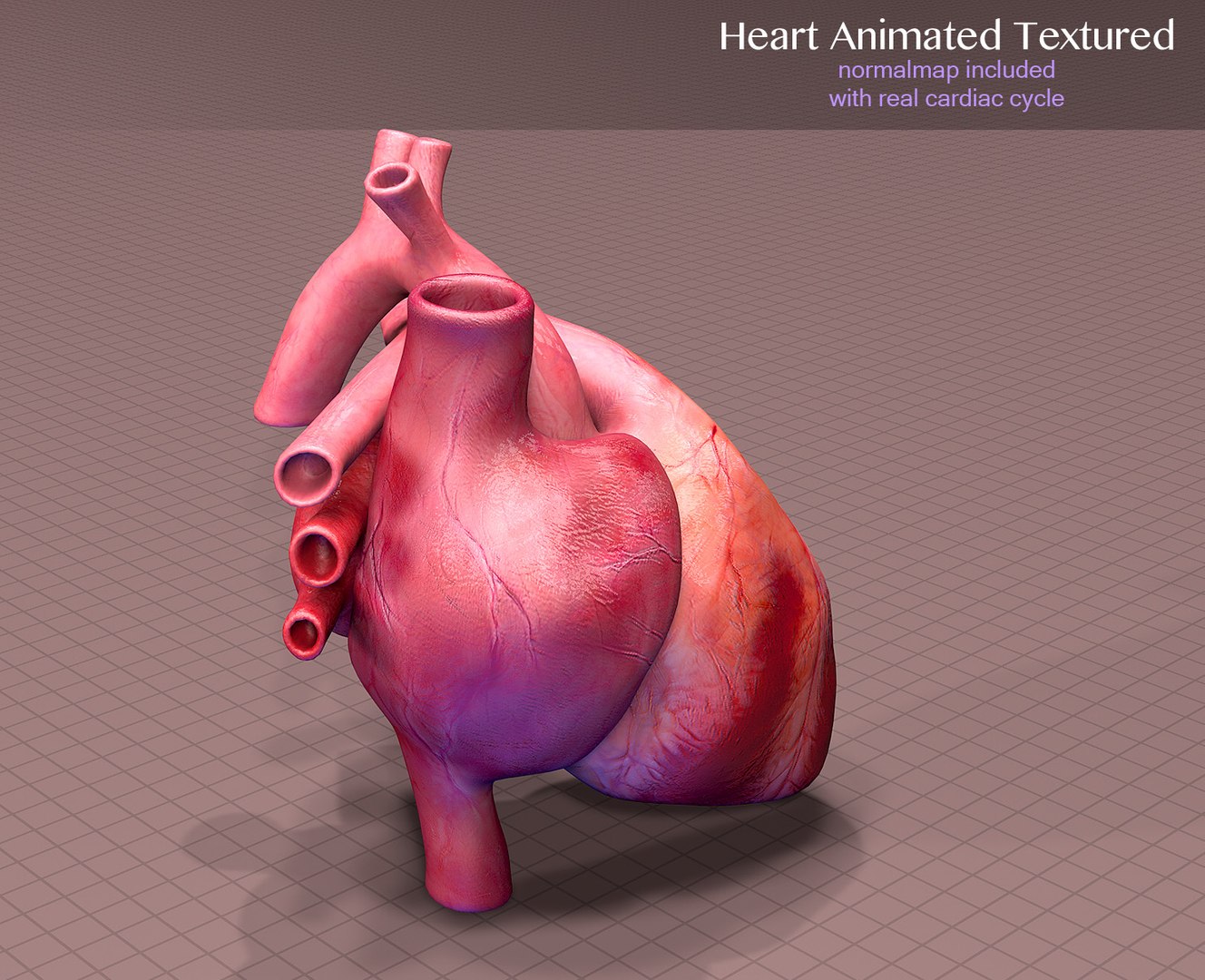 3d heart cycle animation https://p.turbosquid.com/ts-thumb/3E/42tl4y/XIrPlqIT/002/jpg/1498321522/1920x1080/fit_q87/715cc08675758418857eb2f7afcbabd5d0fdc158/002.jpg