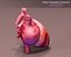 Anatomia do Coração Animada