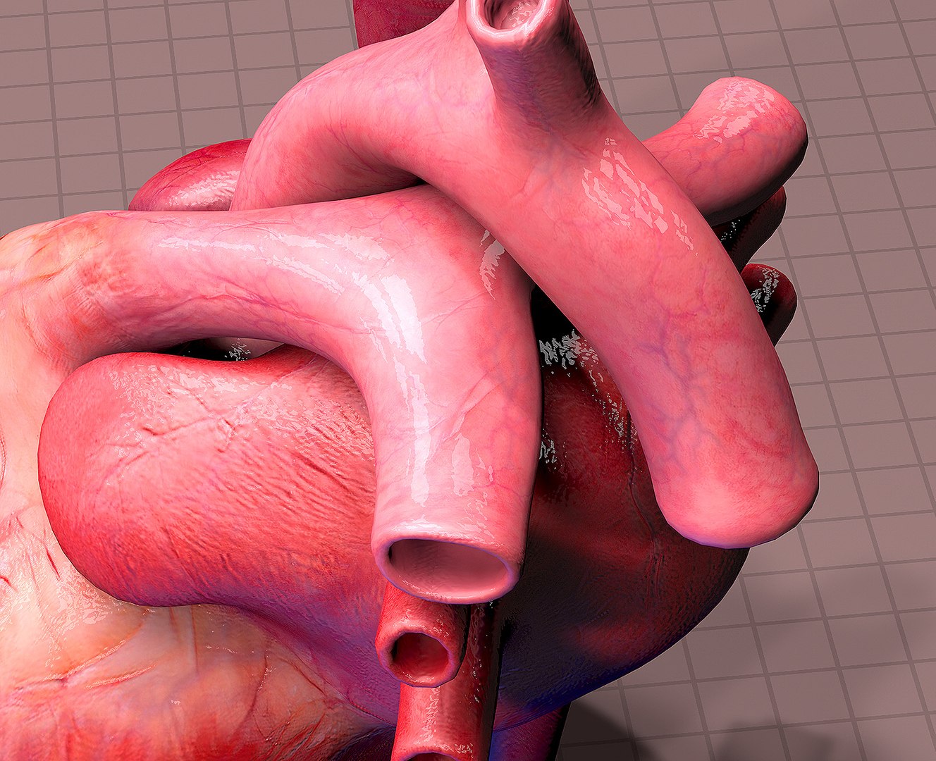 3d heart cycle animation https://p.turbosquid.com/ts-thumb/3E/42tl4y/yQEZEdqq/005/jpg/1498321522/1920x1080/fit_q87/7bc7f14155dae8fd415ef2a221811f90e98e31e4/005.jpg