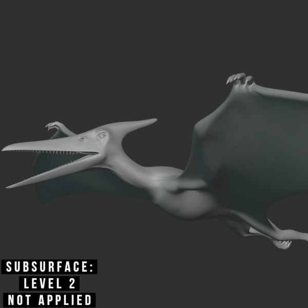 3D Pteranodon Basemesh Low Poly model