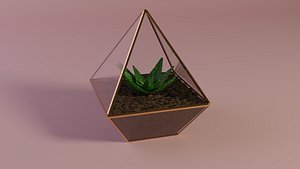 Aloe in a pot 3D model