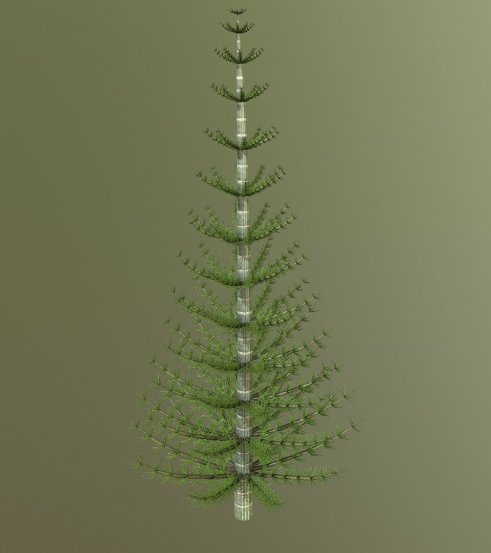 3D Model Calamites - TurboSquid 1485837