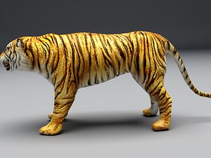 3D model tiger