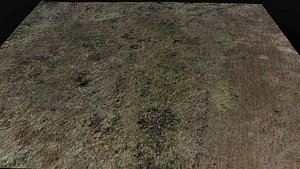 landscape grass field large area 150m part6 drone scan 3D model