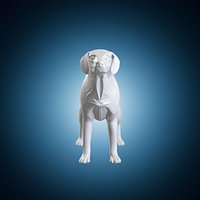 American Foxhound Dog Model