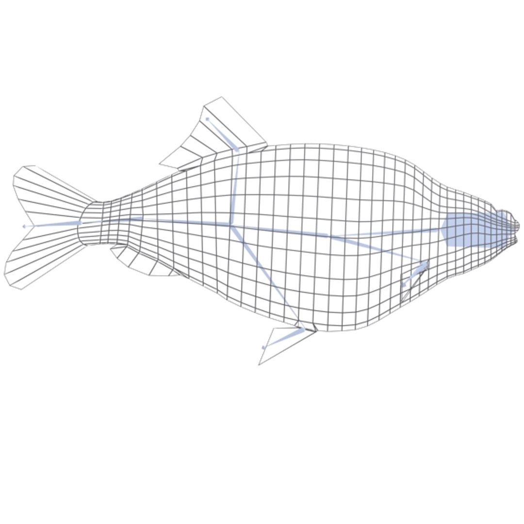 3d bream mesh bones model