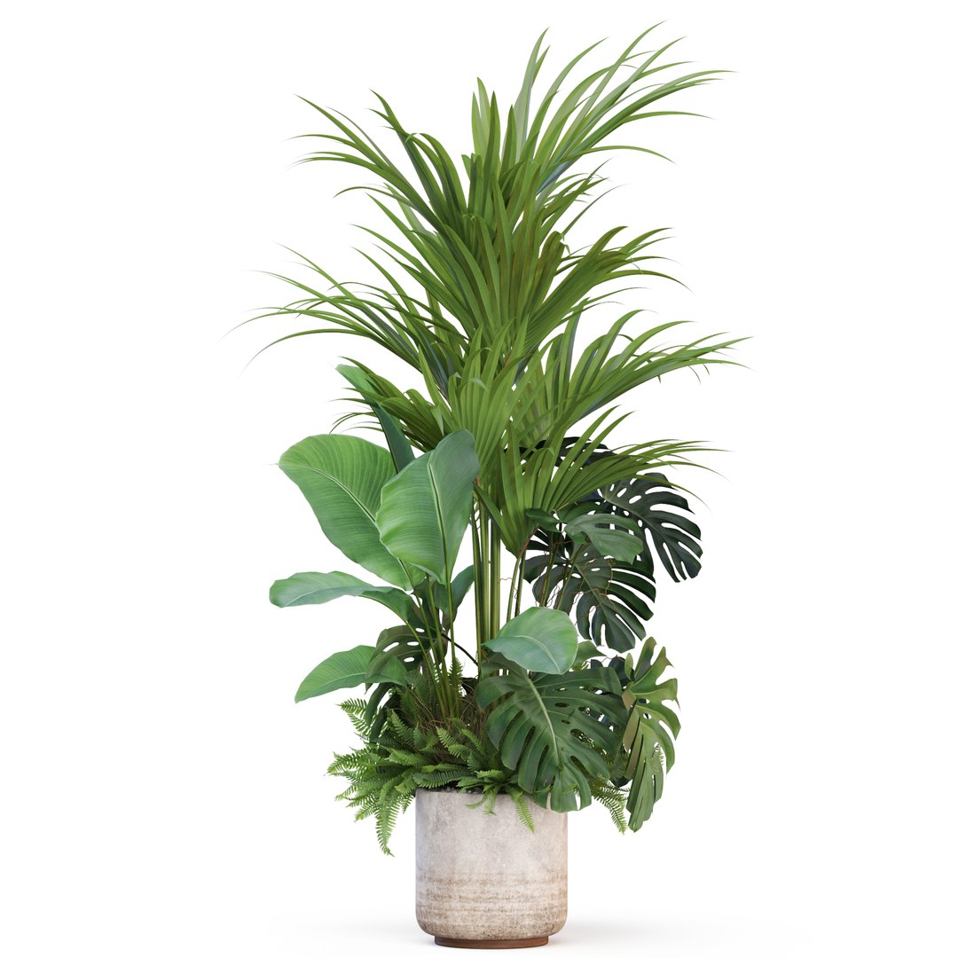 3D Plants collection 1021 https://p.turbosquid.com/ts-thumb/3E/lKJzCt/uX/plant_1021_01/jpg/1703051745/1920x1080/fit_q87/cc7483c94df0e4cf695efa2d73619be3f7ed429c/plant_1021_01.jpg