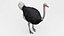 3D Ostrich model
