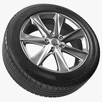 Car Wheel Rim Carrying Tire