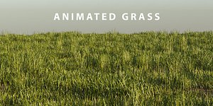 photorealistic grass pack animation 3D