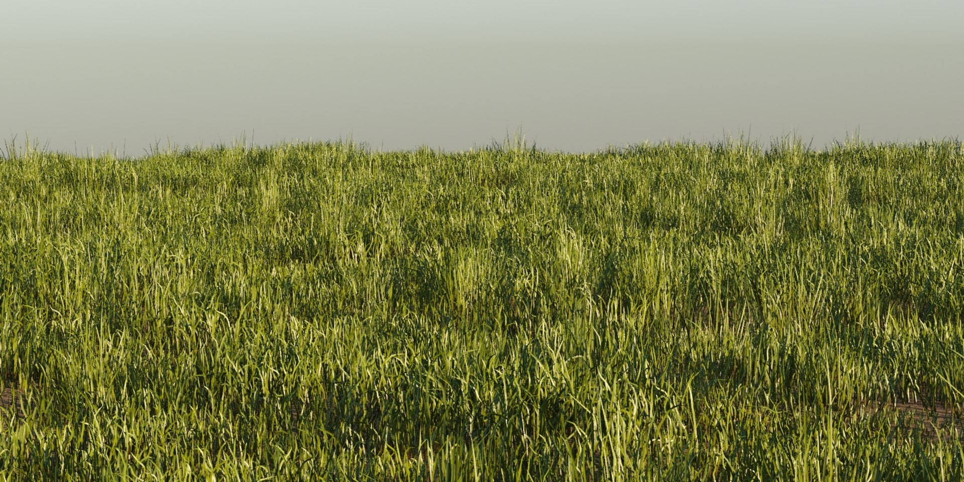 photorealistic grass pack animation 3D https://p.turbosquid.com/ts-thumb/3F/9aayTr/8XwUzaIs/grass0444/jpg/1554031042/1920x1080/fit_q87/b430c24ab1db0090f5f9437a95b69c06cdec8693/grass0444.jpg