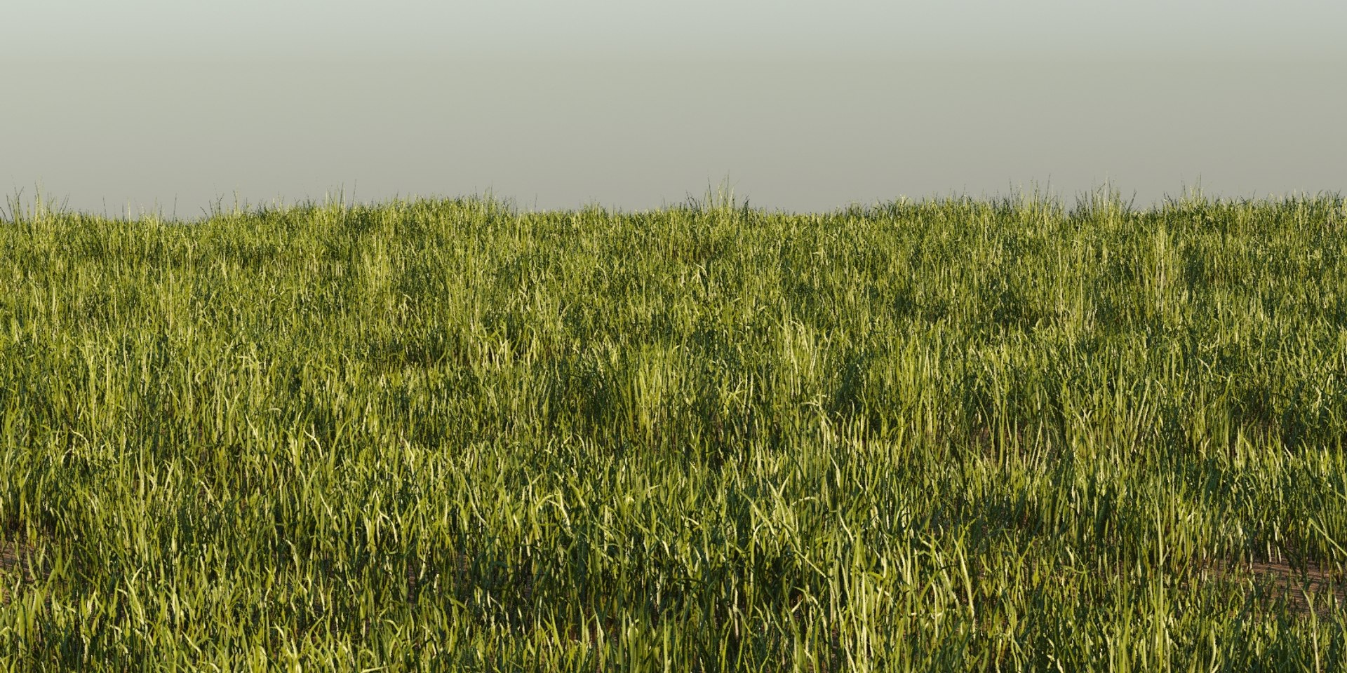photorealistic grass pack animation 3D https://p.turbosquid.com/ts-thumb/3F/9aayTr/BbKbhLp6/grass0340/jpg/1554031041/1920x1080/fit_q87/54fcb198e2c7fb7af59a24acb57079c3104e6a7c/grass0340.jpg