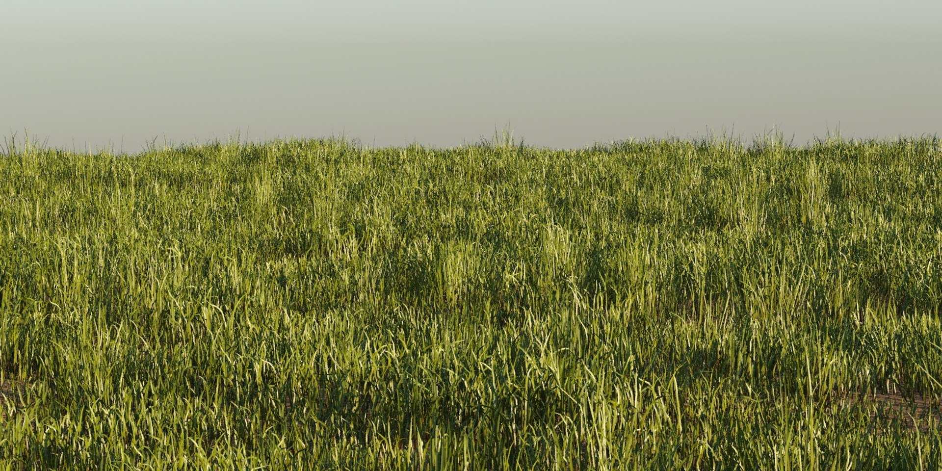 photorealistic grass pack animation 3D https://p.turbosquid.com/ts-thumb/3F/9aayTr/kygfai5k/grass0129/jpg/1554031041/1920x1080/fit_q87/e8b09cc7de24ed1237995ea193f51998bb6f3e80/grass0129.jpg
