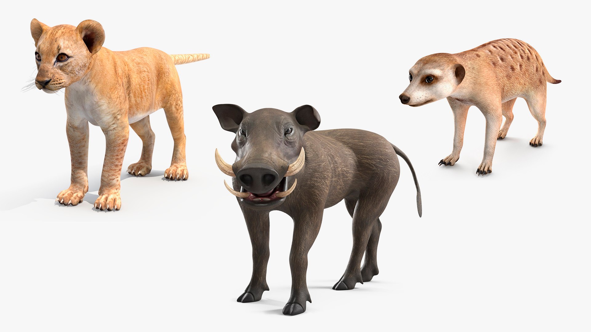 3D Rigged Lion King Animals Collection https://p.turbosquid.com/ts-thumb/3F/QitfYe/5R/rigged_lion_king_animals_collection_001/jpg/1754493533/1920x1080/fit_q87/84ee59650dd9d8d75cec1700a7a939853535a0ee/rigged_lion_king_animals_collection_001.jpg