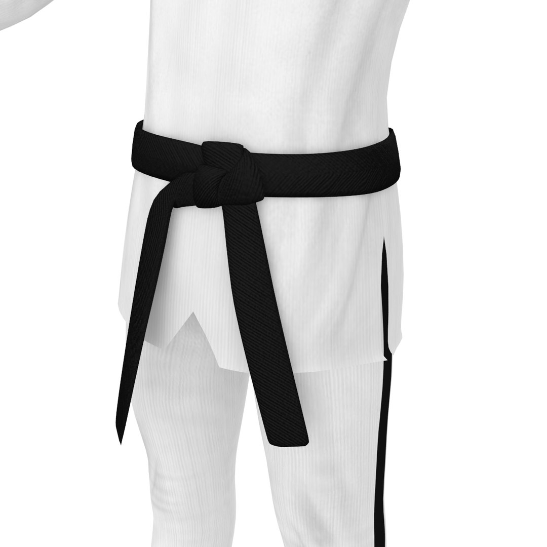 3D model taekwondo 1 https://p.turbosquid.com/ts-thumb/3F/gVvwCw/T5qtIu0U/10013/jpg/1527890594/1920x1080/fit_q87/5224f426126eac1f9ca89915c9dc86fa23234fb2/10013.jpg