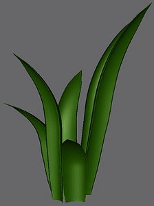 Grass Bunch