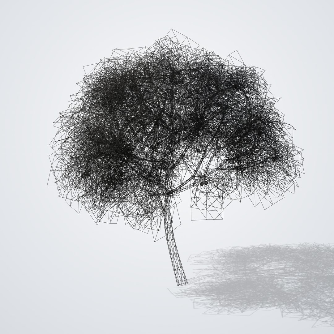 Kaffir Lime Tree - Citrus hystrix 3D https://p.turbosquid.com/ts-thumb/3F/vNS85q/5E/citrushystrix_06_wireframe/png/1790119336/1920x1080/fit_q87/0e1660ac54dc652163a42675ffdcd4eaaec1ff8c/citrushystrix_06_wireframe.jpg
