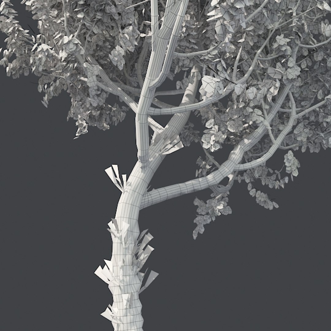 tree 002 32 model https://p.turbosquid.com/ts-thumb/3F/vfasE7/46RH2VLX/005/jpg/1607258634/1920x1080/fit_q87/8dfe159a0bb0c747fb726fa4724fb1ca1c13ac87/005.jpg