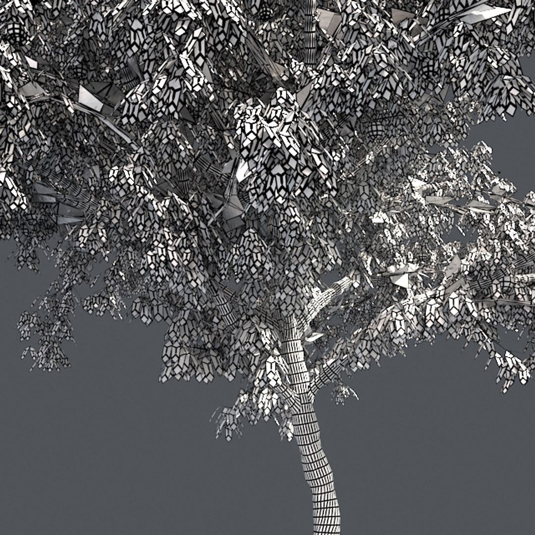 tree 002 32 model https://p.turbosquid.com/ts-thumb/3F/vfasE7/5B3QvJjg/005/jpg/1607258399/1920x1080/fit_q87/d1466e9ae993697d55b71359b9c66c59f741895b/005.jpg