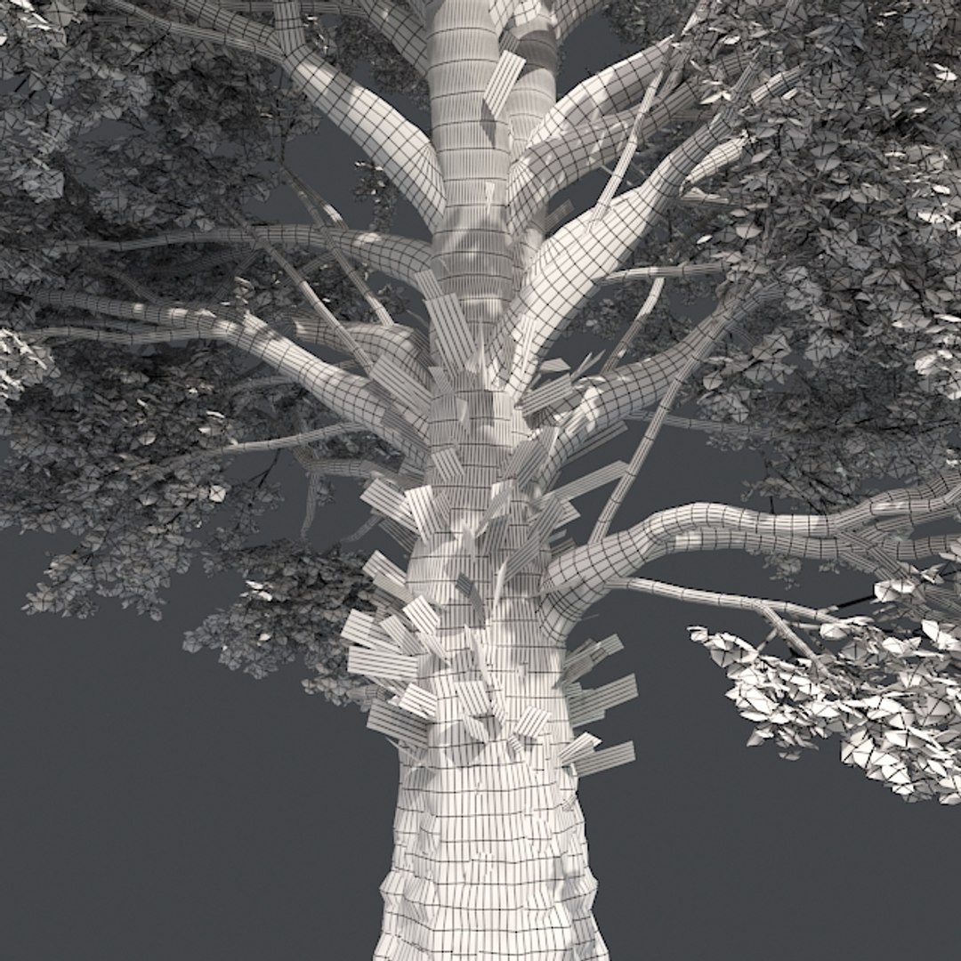 tree 002 32 model https://p.turbosquid.com/ts-thumb/3F/vfasE7/695Xif20/005/jpg/1607258733/1920x1080/fit_q87/11c6b367821f80197f8ca59aa61e23d3baa81f5c/005.jpg