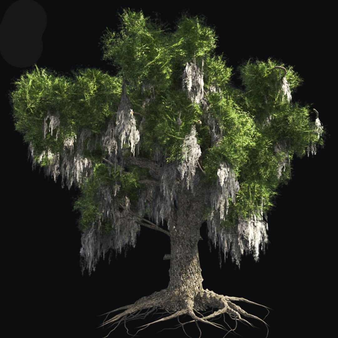 tree 002 32 model https://p.turbosquid.com/ts-thumb/3F/vfasE7/6bLsB1kw/001/jpg/1607258115/1920x1080/fit_q87/785b201a228e9fcaa4f82ca0d3fd1cf9fcc9664a/001.jpg