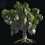 Tree Collection Vol 002 32 Tree