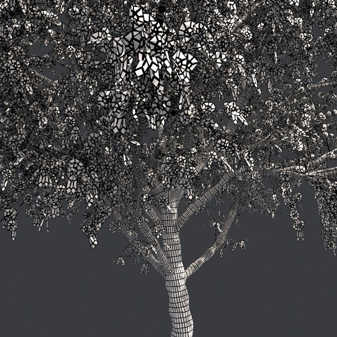 tree 002 32 model https://p.turbosquid.com/ts-thumb/3F/vfasE7/AWYCDa6y/005/jpg/1607258425/1920x1080/fit_q87/3734f98ba4244c5a08456fc0286078f5534358b2/005.jpg