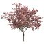 Tree Collection Vol 002 32 Tree