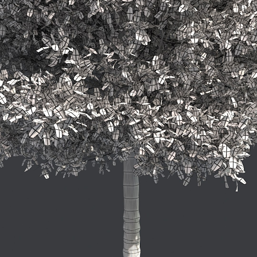tree 002 32 model https://p.turbosquid.com/ts-thumb/3F/vfasE7/EB0wtDqJ/005/jpg/1607258756/1920x1080/fit_q87/cfcb3e9e8c07aca846e43ceca1885f7c32904d1c/005.jpg