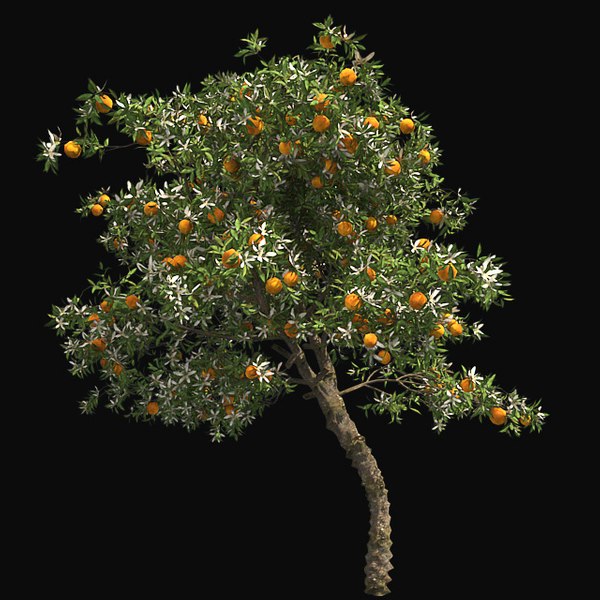 Tree 002 32 model - TurboSquid 1580072