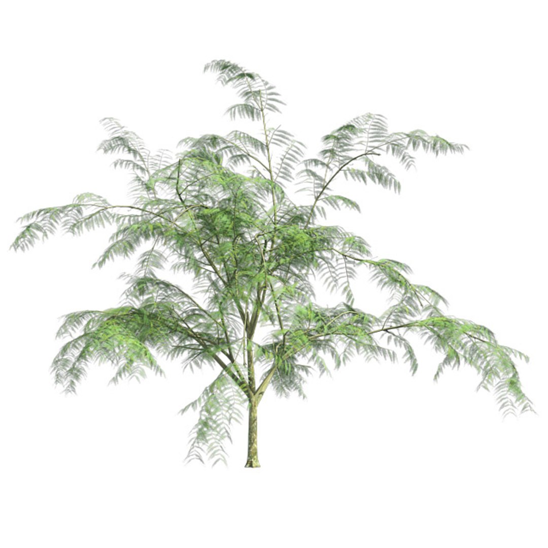 tree 002 32 model https://p.turbosquid.com/ts-thumb/3F/vfasE7/HqmLmE2W/001/jpg/1607258311/1920x1080/fit_q87/0416204f88e98cd396dd66f1da34a996c1ab45ea/001.jpg