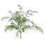 Tree Collection Vol 002 32 Tree