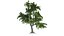 Tree Collection Vol 002 32 Tree