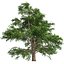 Tree Collection Vol 002 32 Tree