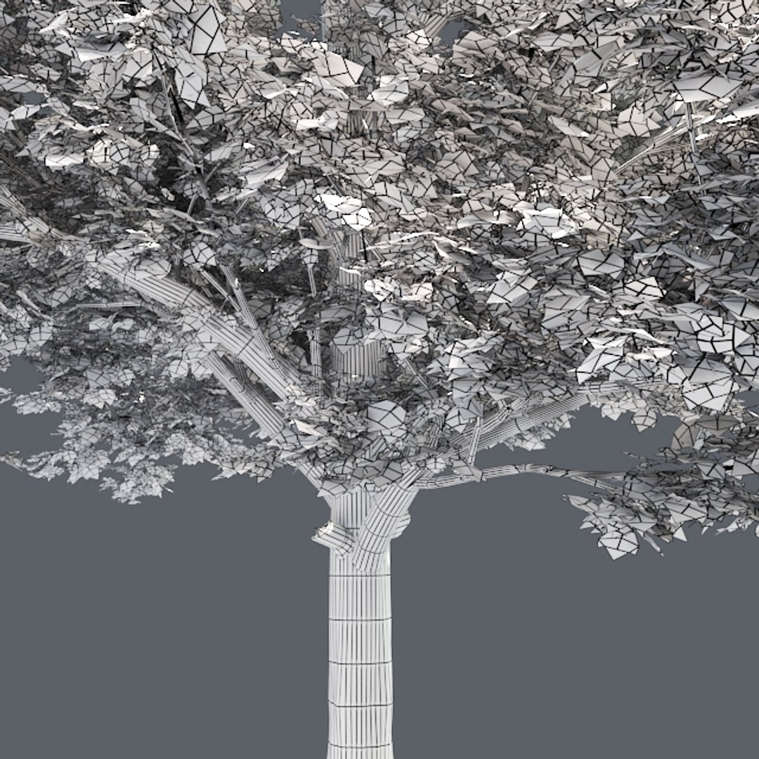 tree 002 32 model https://p.turbosquid.com/ts-thumb/3F/vfasE7/JWHx0yZd/005/jpg/1607258584/1920x1080/fit_q87/571b26ca2477c01d7b186fc4fda3561a369e85bb/005.jpg
