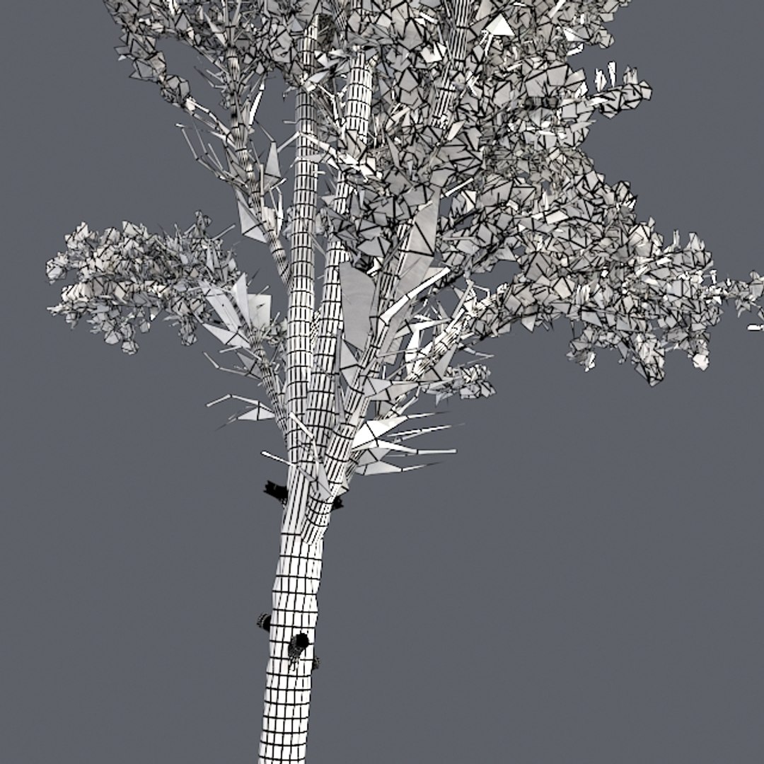 tree 002 32 model https://p.turbosquid.com/ts-thumb/3F/vfasE7/JZ4IWoOK/005/jpg/1607258346/1920x1080/fit_q87/00378198bbe96a1bef052d8a0453d53bb02f892e/005.jpg